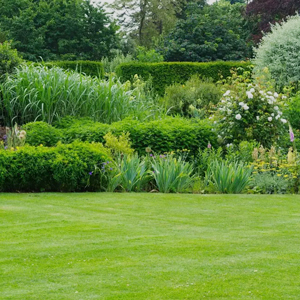 Abundant Landscape Across the Community